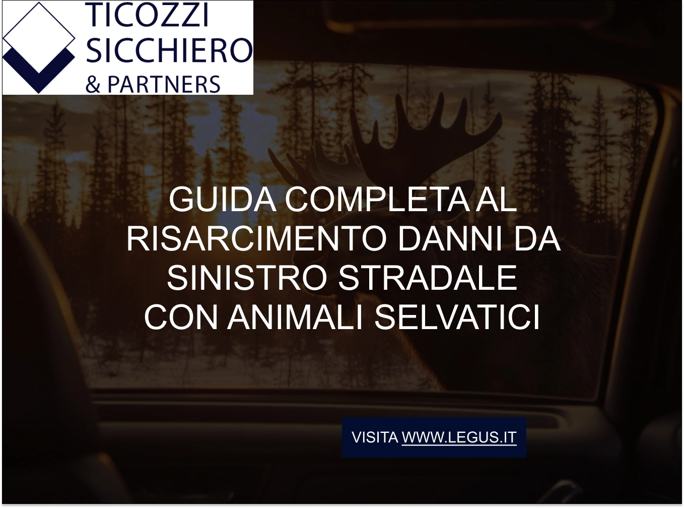 Introduzione al risarcimento danni da sinistro stradale